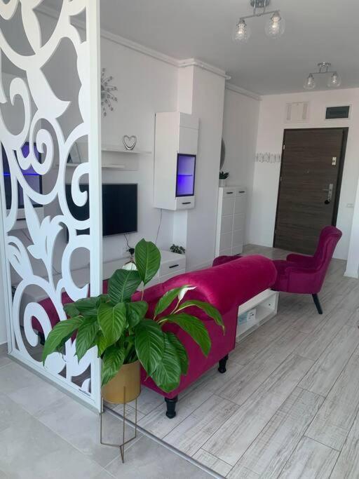Apartment Cool Timişoara